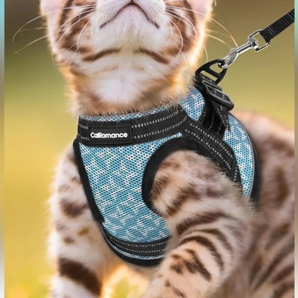 Purple cat harness NWT
